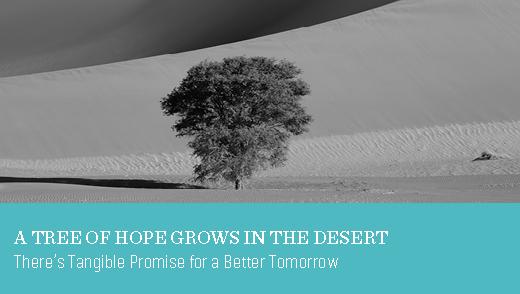 A Tree of Hope Grows in the Desert